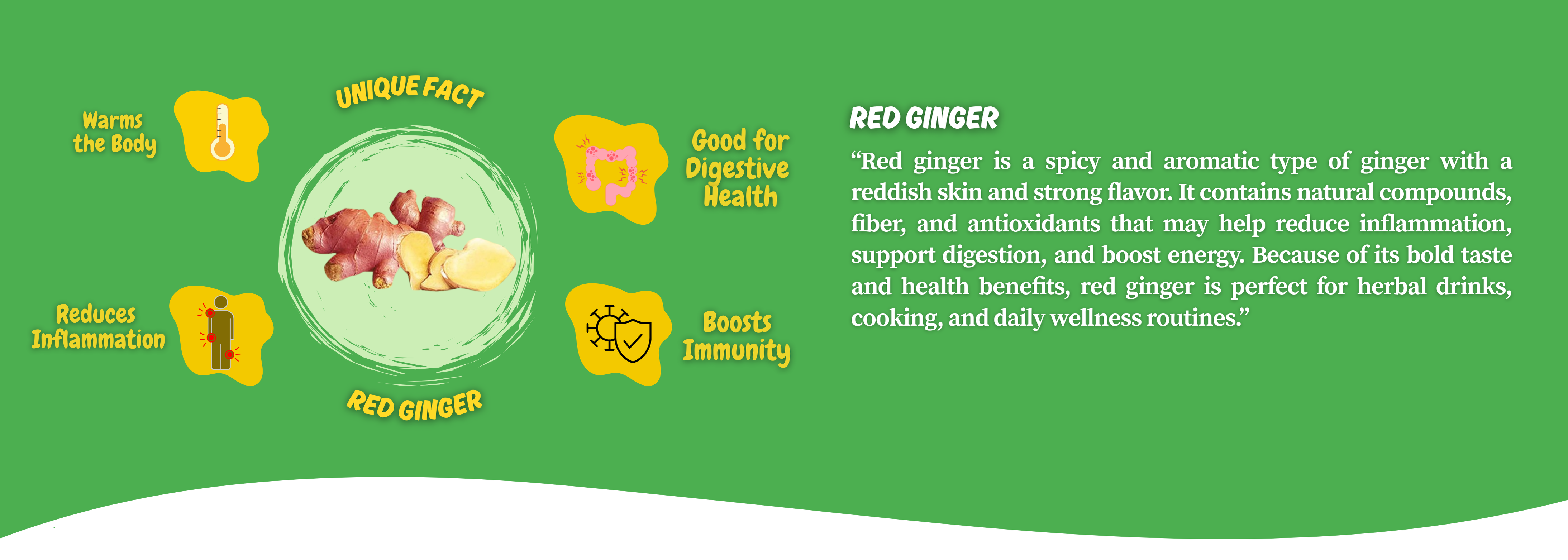 red ginger baner